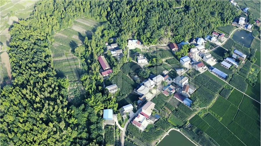 【案例解读】一张航拍图定违建？政策替代法律，不合法也不合规！